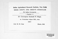 Image Associated With the Occurence